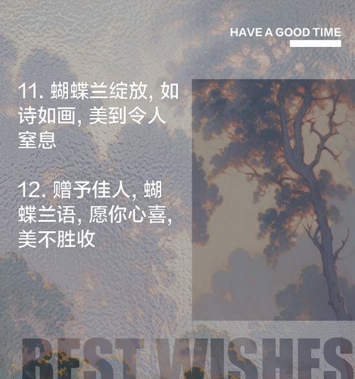 蝴蝶兰搭配的花语有何意义？