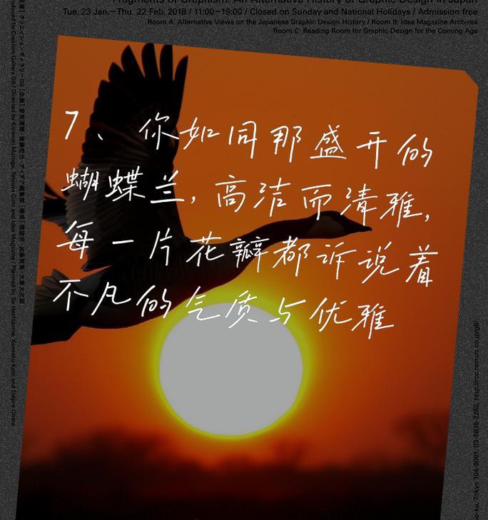 蝴蝶兰搭配的花语有何意义？