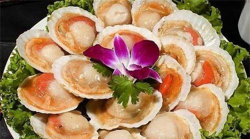 扇贝花的寓意是什么？扇贝花的花语有哪些？