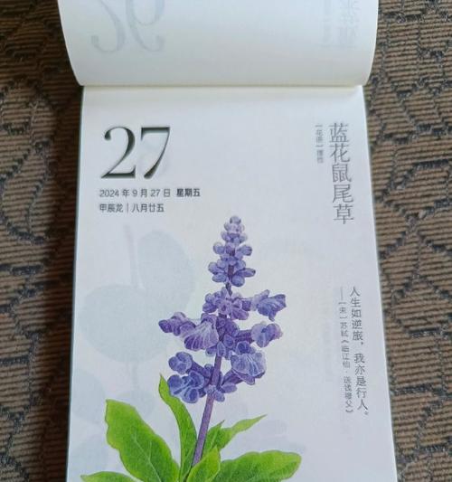恶运花语在网络用语中具体指什么？