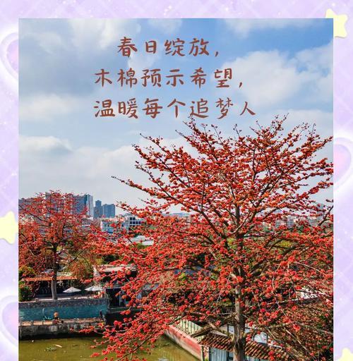 木棉花的花语有哪些含义？它象征着什么？