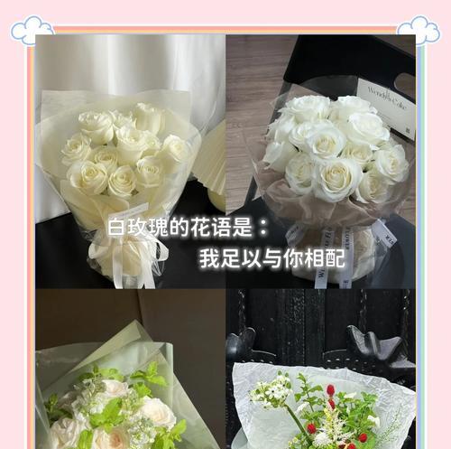 哪种花的花语最能传达爱意？