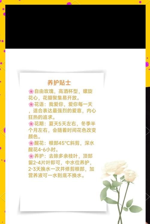 哪种花的花语最能传达爱意？