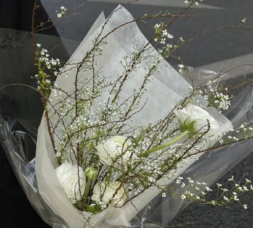 重逢时送什么花最合适？