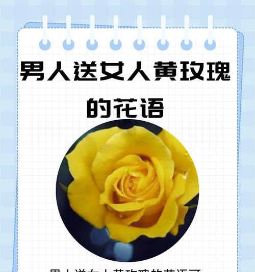 我想听你的花语代表了什么情感？