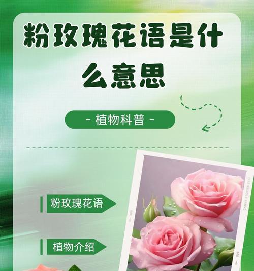 我想听你的花语代表了什么情感？
