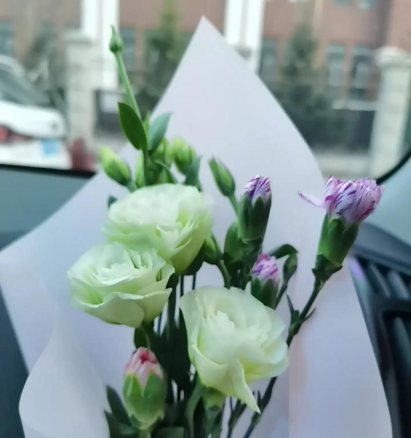 桔红色花的花语和寓意是什么？