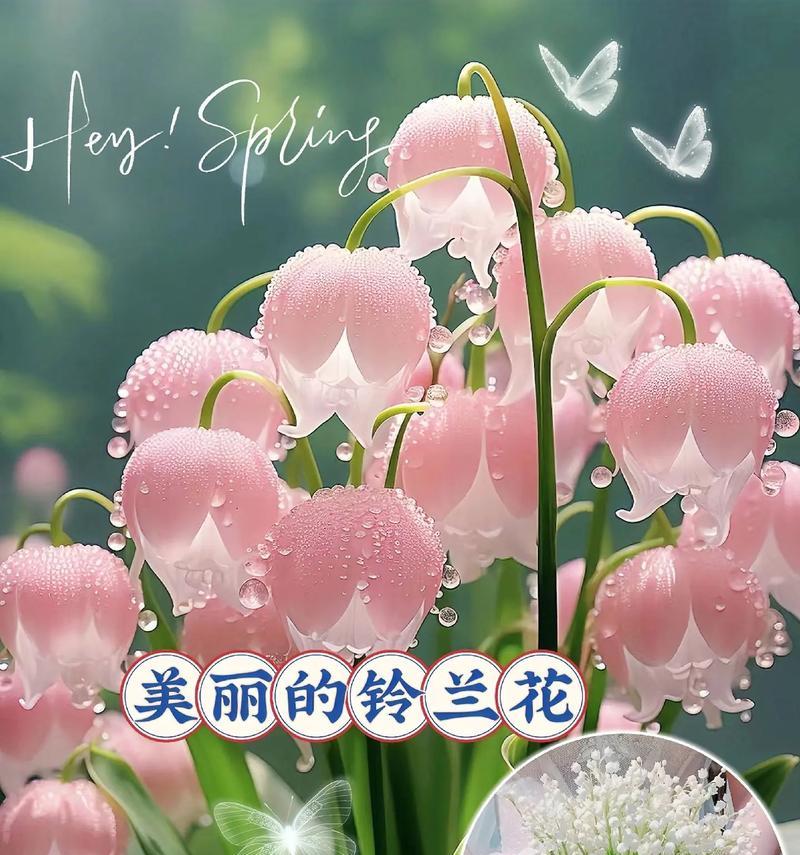 幸福即将来临的花语是什么？哪种花代表幸福即将来临？