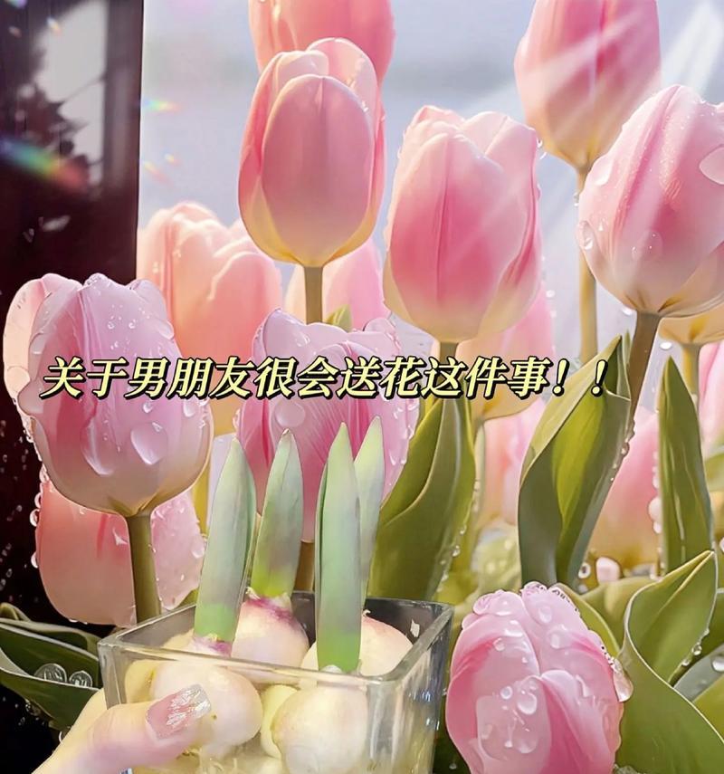 郁金花语和寓意是什么？郁金花代表什么？