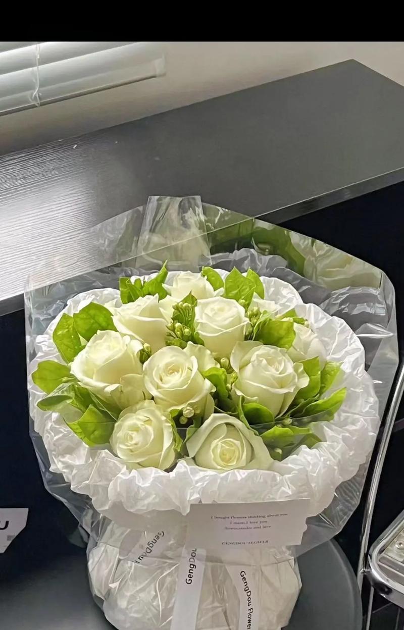 十一朵茉莉白玫代表什么意思？