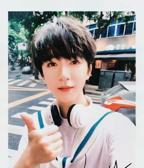 贺峻霖粉丝适合的花语是什么？它表达了什么样的情感？