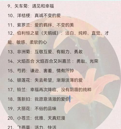 贺峻霖粉丝适合的花语是什么？它表达了什么样的情感？
