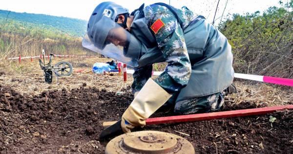 地雷花语是什么意思网络用语？地雷在网络用语中代表什么？