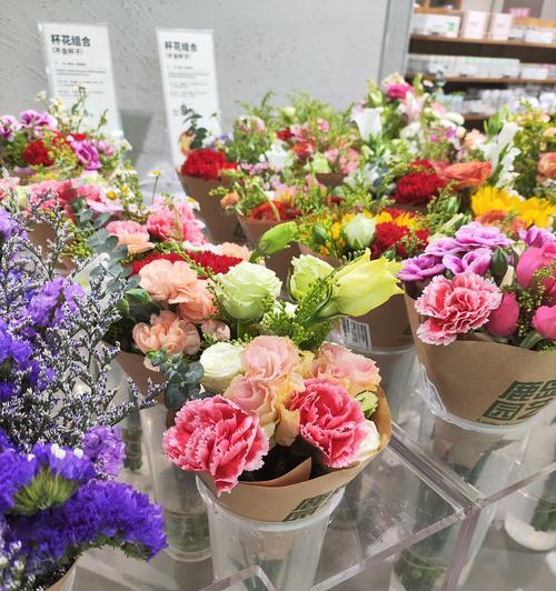 永远盛开的花语是什么？哪种花象征永恒？