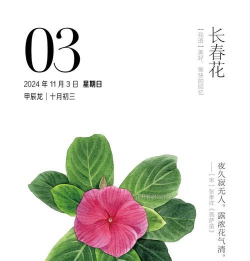 永远盛开的花语是什么？哪种花象征永恒？