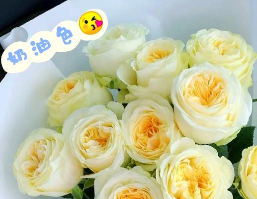 表达歉意的花语有哪些？如何用花语传达歉意？