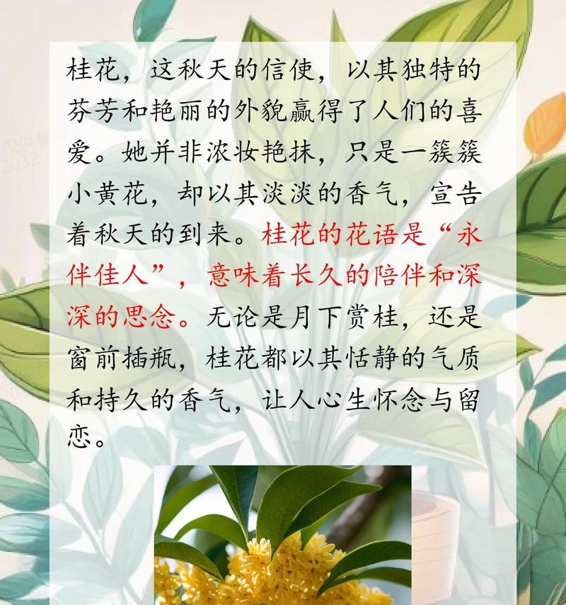 12月七日是什么花语和寓意？这一天的特殊花语是什么？