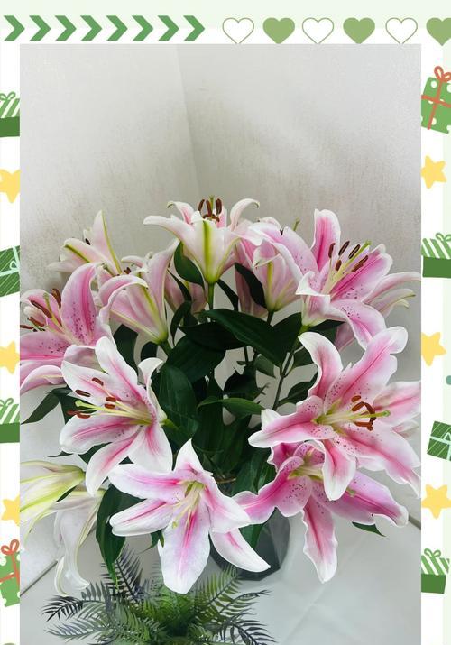 小甜甜百合的花语代表什么？