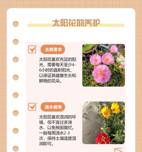 表白鲜花的花语有哪些？如何选择合适的鲜花表白？
