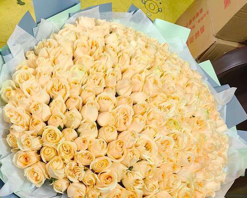 二十二朵香槟玫瑰花语是什么？送花的正确含义是什么？