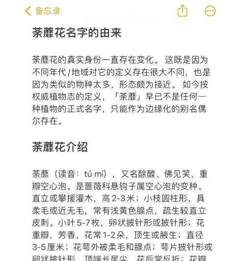 等不到的爱用哪种花语表达？它有何特别含义？