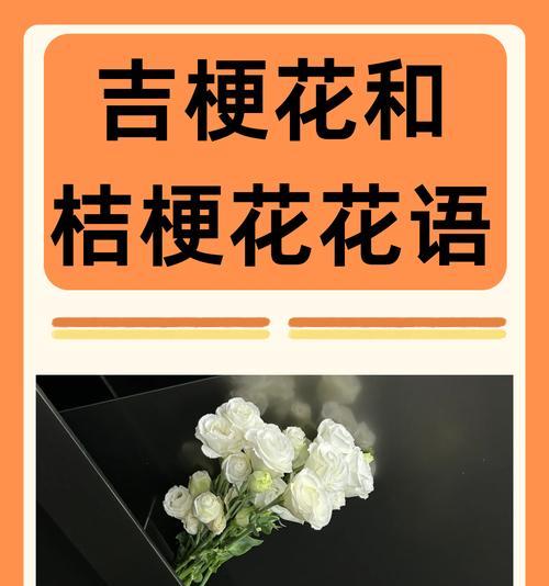 表达爱意的花语有哪些？