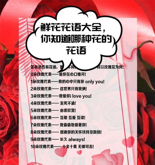 玫瑰花语代表了哪种情感？
