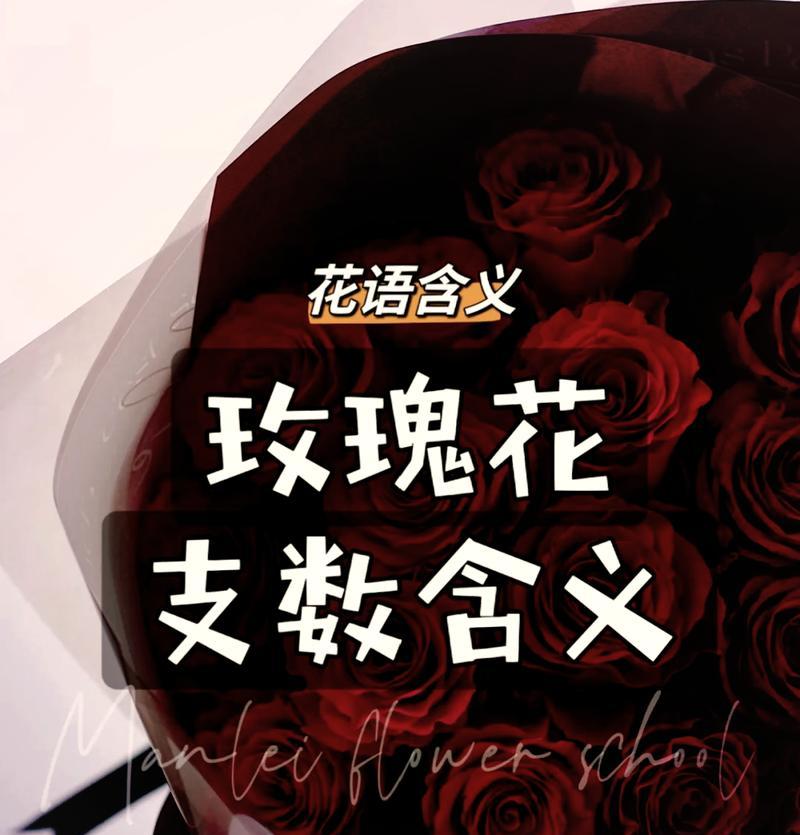 玫瑰花语代表了哪种情感？