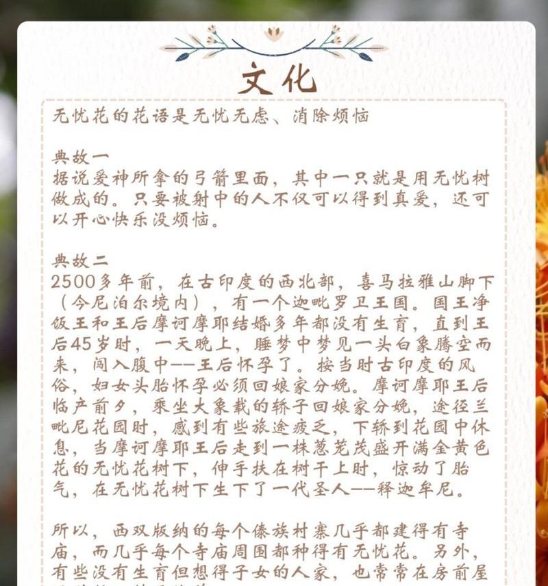 这句话的花语是什么？它传达了怎样的情感？