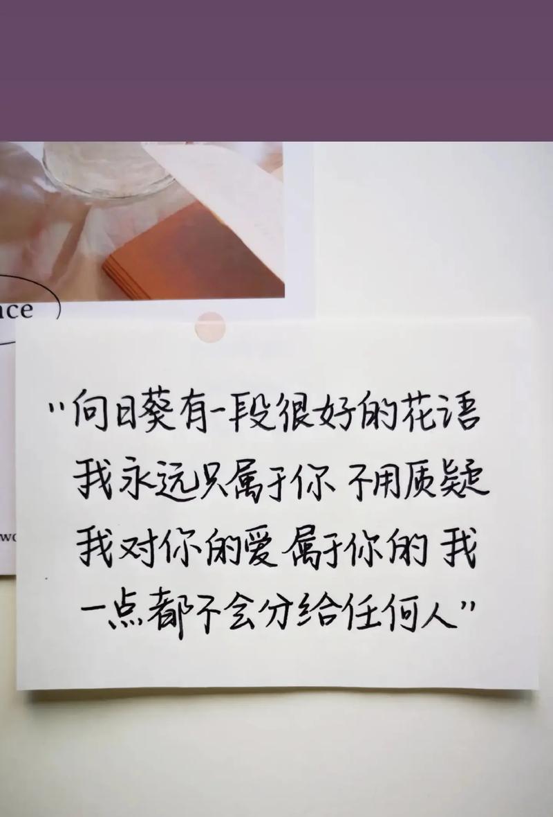 向日葵花语有哪些寓意？
