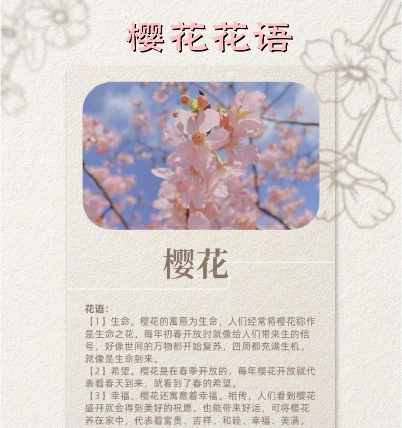 的花语是什么？这种花语代表了什么特别的情感或信息？