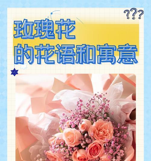 金色玫瑰传递了哪些情感？