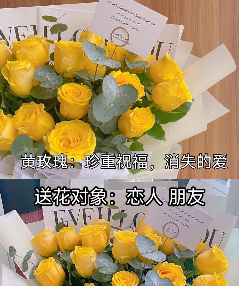门口摆放玫瑰花有何寓意？