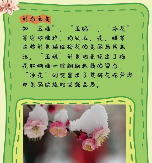 梅花的花语和寓意有哪些？