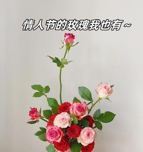 红色玫瑰传递了哪些情感？