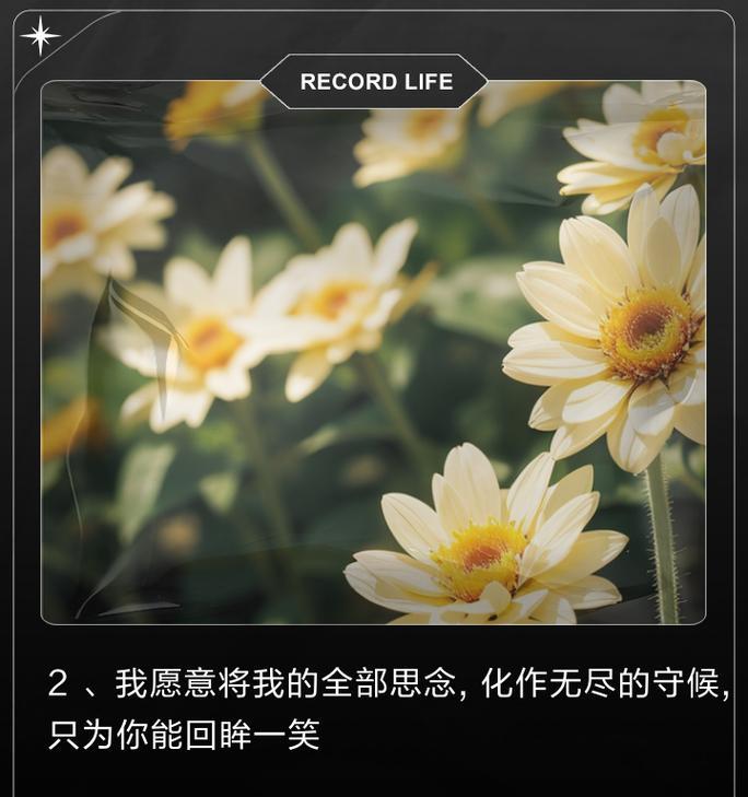 表达思念的花语有哪些？