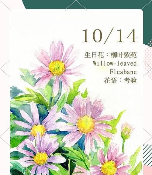 让人成长的花语有哪些？