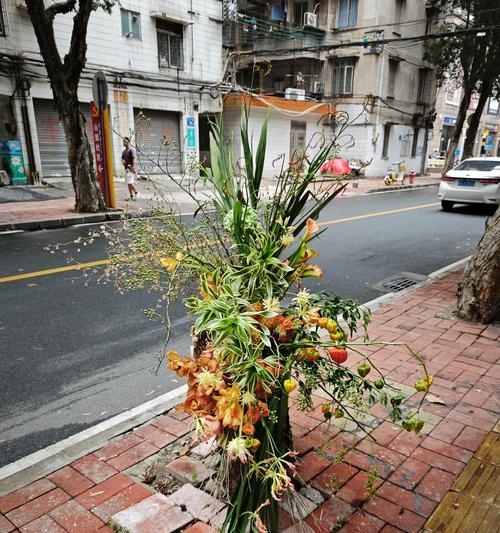 枯树开花的花语是什么？它象征着什么？