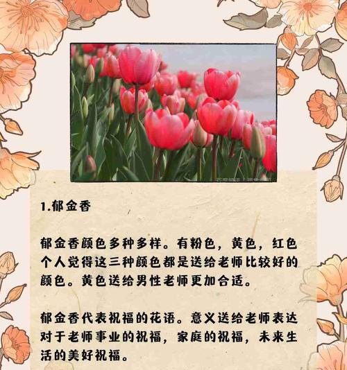 郁金香的花语是什么？