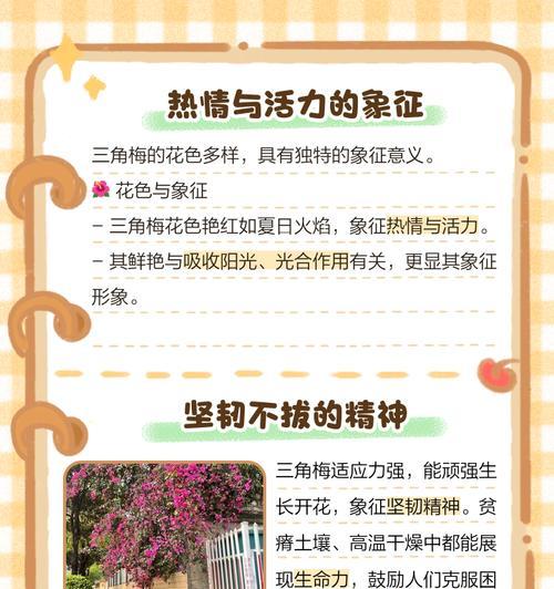 花语是谁赋予的意义是什么？花语背后的文化与历史起源是什么？