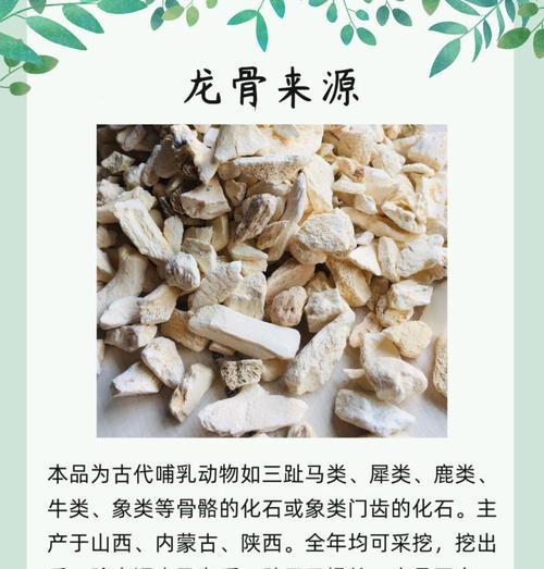 龙骨烂根了怎么办？如何进行有效的抢救？