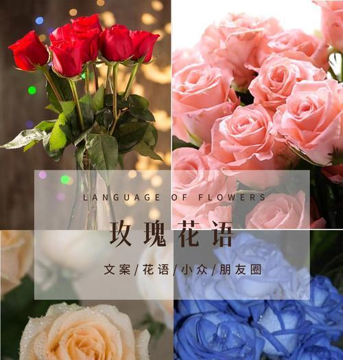 红玫瑰1支代表什么意义？花语中隐藏的情感是什么？