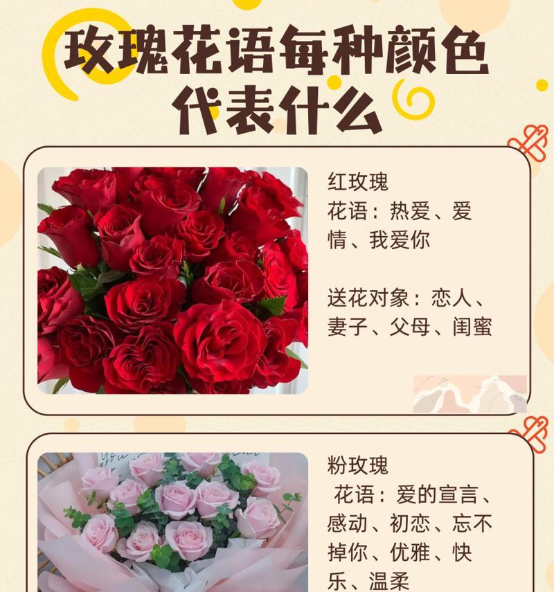 红玫瑰花最美丽的花语是什么？它代表了什么？