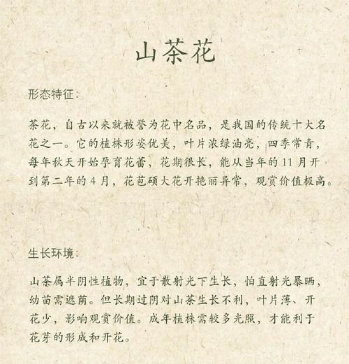 茶花的生长环境和养护方法有哪些？