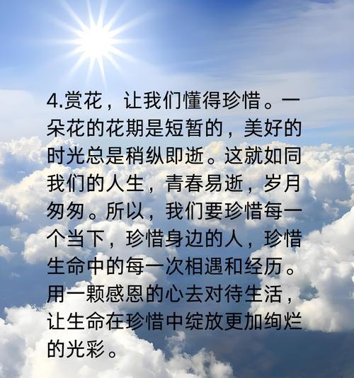 生性淡泊的人适合哪种花语？