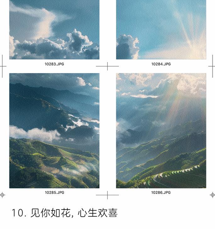 姐妹名字中的花语有何特殊含义？