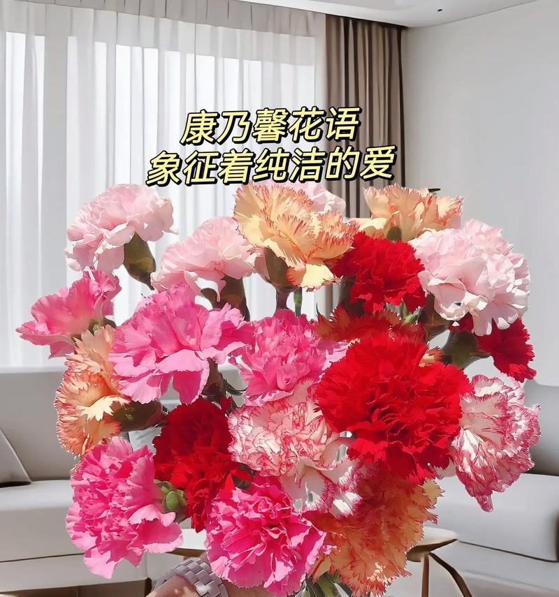 姐妹名字中的花语有何特殊含义？