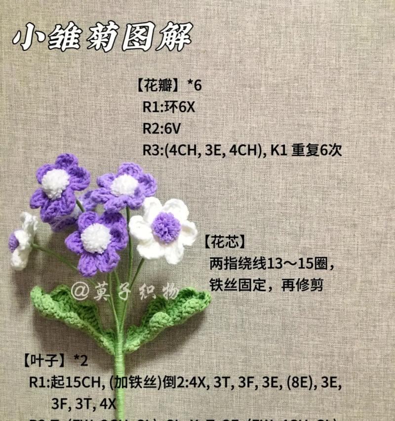 雏菊花水养的花期有多长？如何延长雏菊花的开花时间？
