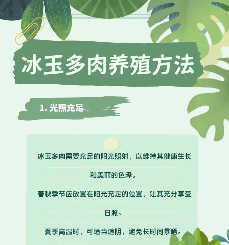 多肉玉珠帘的养殖方法和常见问题解答是什么？