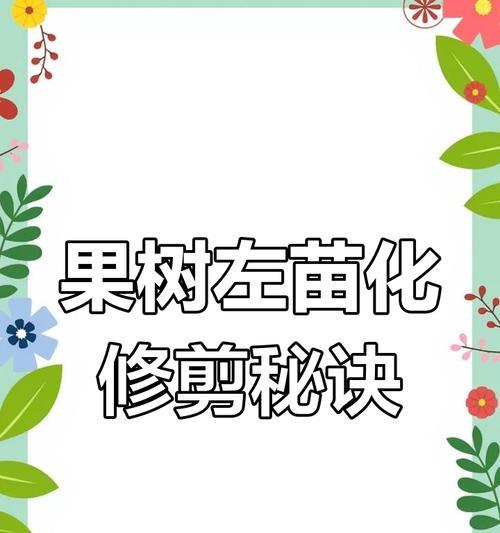 盆栽果树新枝的正确修剪方法是什么？如何促进更好的结果？